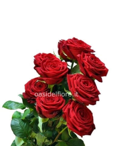 Rose rosse ( non confezionate)a stelo.